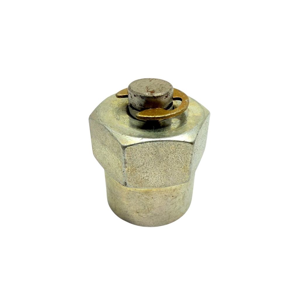 Clavija de prueba de fugas, sistema de combustible