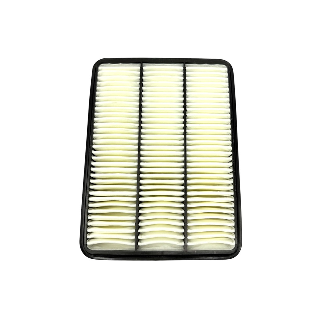 Filtro aire motor