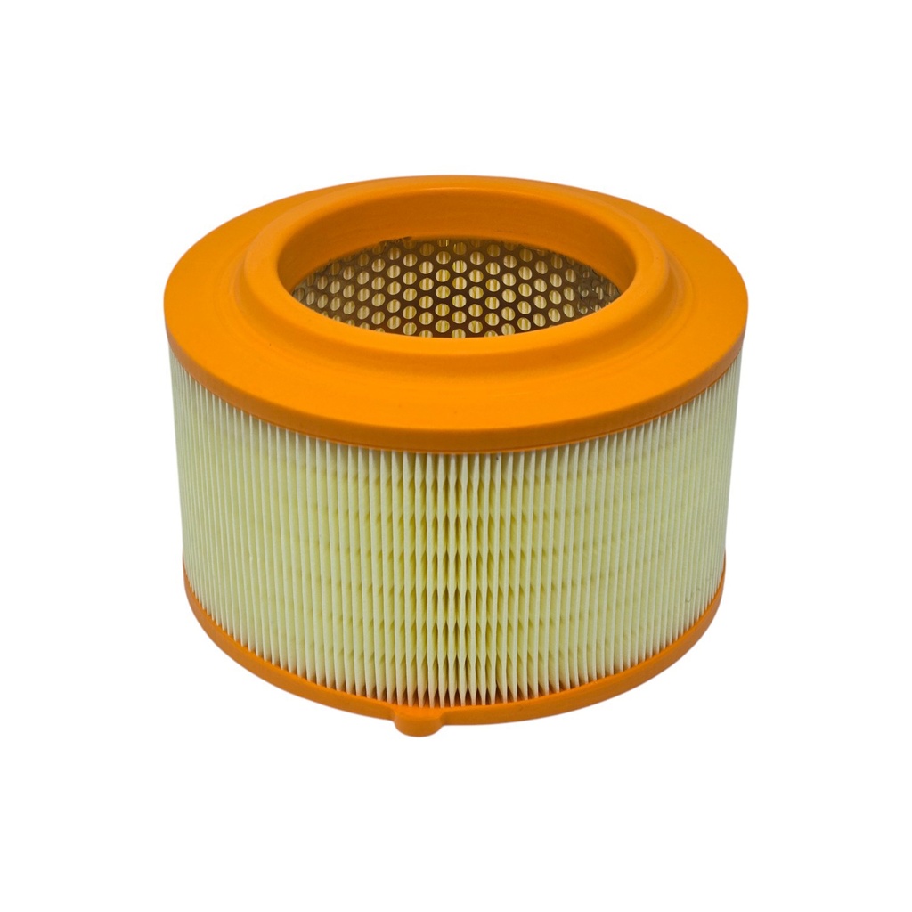 [RORE02137] Filtro de aire motor