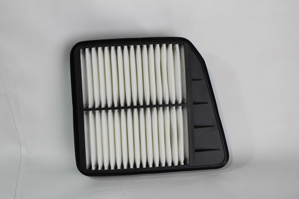 [RORE01004] Filtro de aire motor