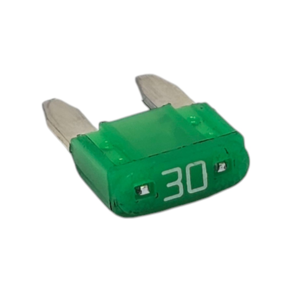 Fusible de 30