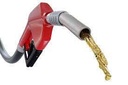 Gasolina