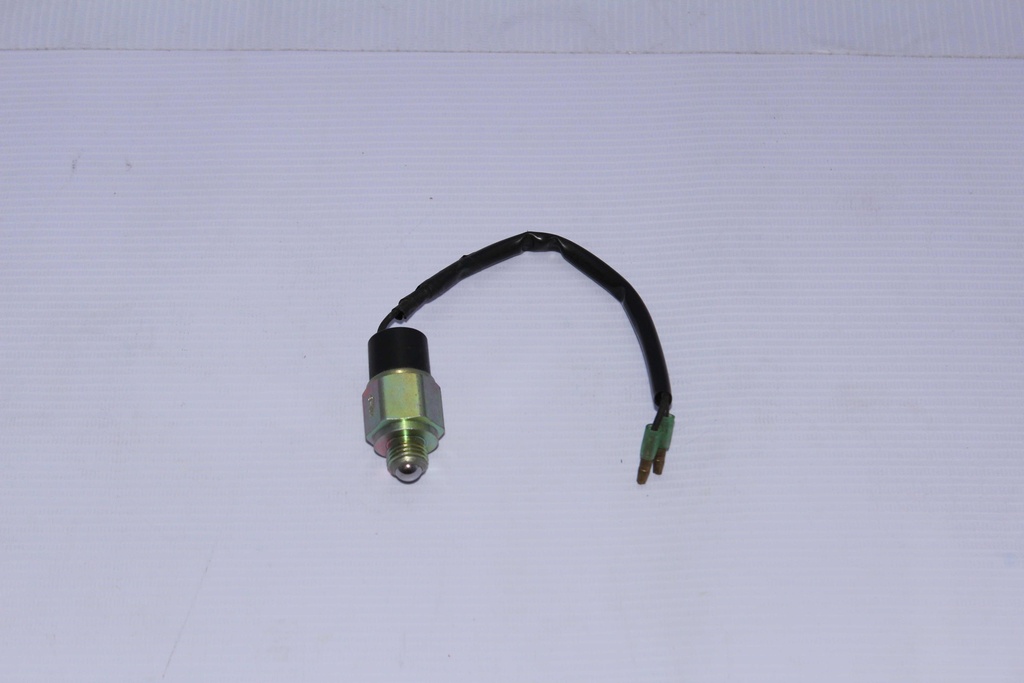 Interruptor de la luz trasera