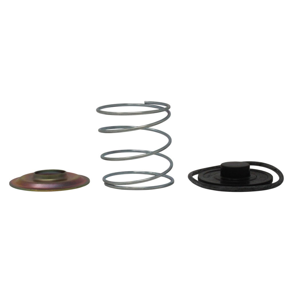 Kit reparo de valvula de descarga Randon