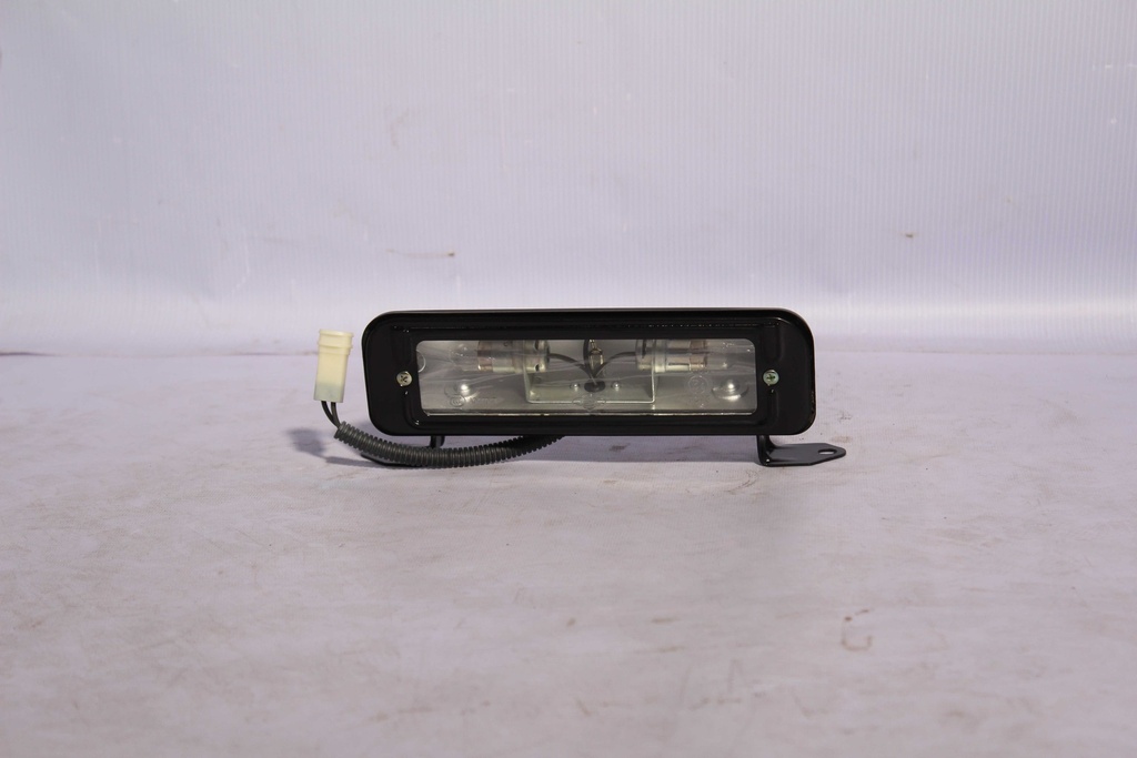 Luz de placa