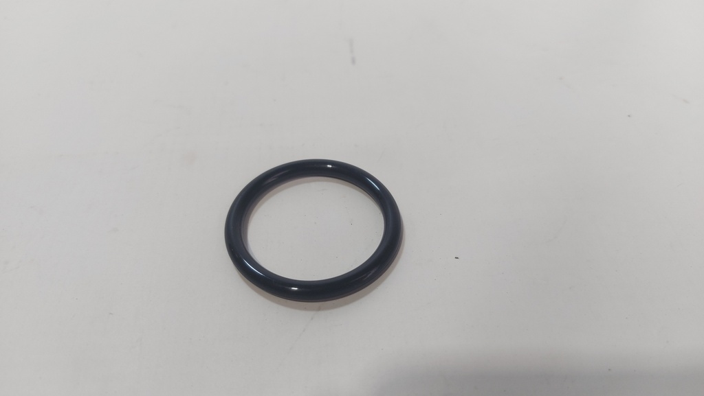 Oring de la bomba de agua