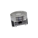 Piston standard