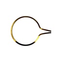 Anillo de retencion