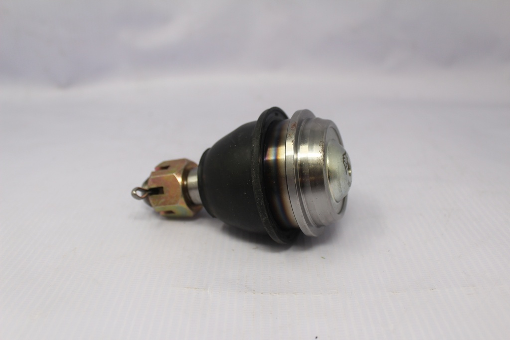 Rotula inferior RH LH