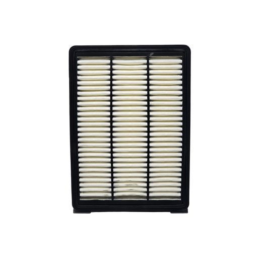 Filtro aire motor