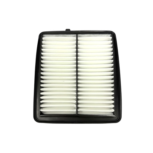 Filtro de aire motor