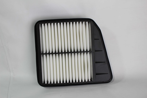 Filtro de aire motor