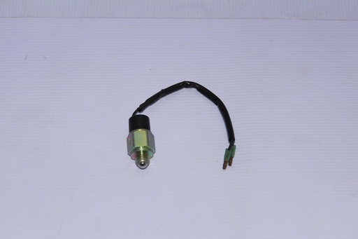 Interruptor de la luz trasera