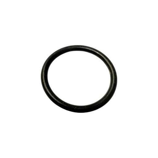 Oring A-209