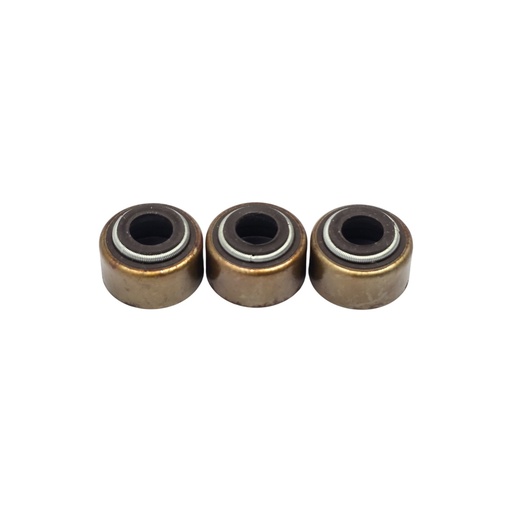 Reten de valvula